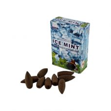 Аромат для дома Ледяная Мята конус Darshan фото