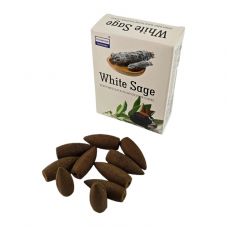 Аромат для дома Белый Шалфей конус Darshan фото