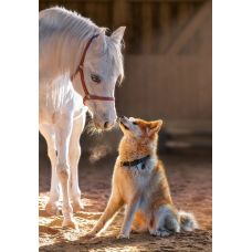 Пазлы Друзяшки 1000 элементов фото