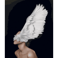 Картина по номерам "Крыло души"