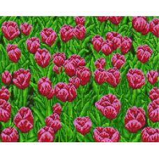 Картина по номерам "Поле розовых тюльпанов"