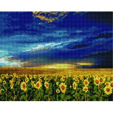 Картина по номерам "Украинское поле"