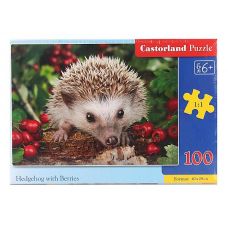 Пазлы Ежик Милый 100 элементов фото
