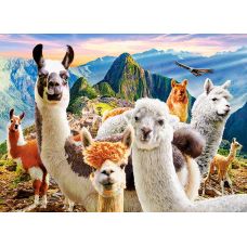 Пазлы Селфи Лам 200 элементов фото