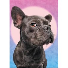 Пазл Милый Пес 1000 Элементов, Мозаика фото