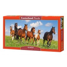 Пазлы "Лошадки" (4000 элементов)