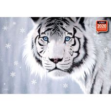 Пазлы "Глазики", 500 Элементов