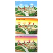 Магнит на холодильник "Каменец-Подольский" (7х5см.)