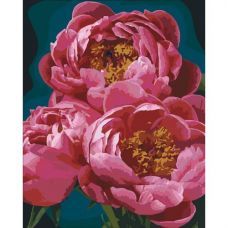 Картина по номерам "Пышность пионов"