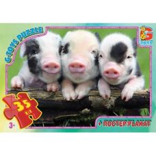 Пазлы "Домашние питомцы", 35 элементов C