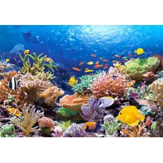 Пазлы "Подводный мир", 1000 элементов