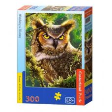 Пазлы "Сова" 300 элементов