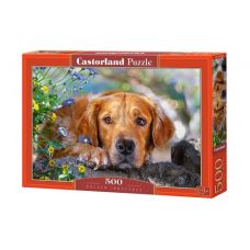 Пазлы "Золоти́стый ретри́вер", 500 элементов